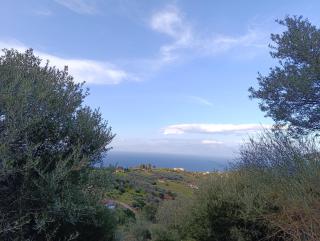 Altheas Maisonettes - Xylokastro - 9
