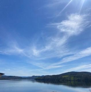 LES TERRASSES DU LAC - Chaumard - 0