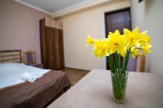 Guest House Kavkasioni 33 - Telavi - 7