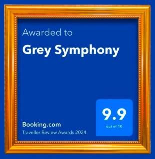Grey Symphony - Timişoara - 8