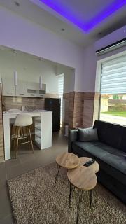 Central Apartments 3 - Zaječar - 7