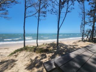 Beach Shed with Pizza Oven - Toogoom - 7