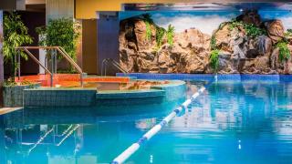 Ovidiu relaxing residence - Bucharest - 4