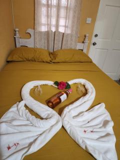 Rose Hideaway - Vieux Fort - 3