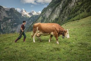 Ferienwohnung Max Hofreiter - Schönau am Königssee - 7