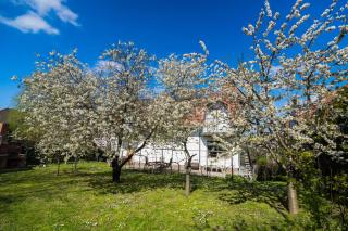 Squash Apartments & Studios - 3