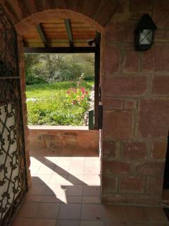 Home Relax 31 - Erbach - 9