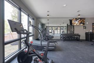 Tune - Odyssey - Mins to Broadway - Full Gym! - Nashville - 6