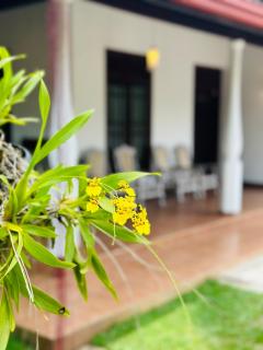 Casa Winnie - Kelaniya - 8