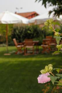 Albergo della Ceramica - Villanova Mondovì - 5