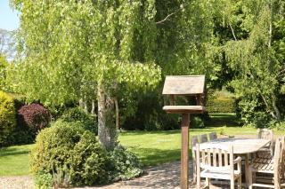 Curlew Cottage - Church Stretton - 5