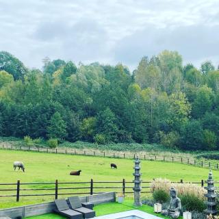Familie & Vriendenwoning met fantastisch uitzicht - Ellezelles - 7