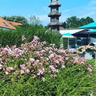 Familie & Vriendenwoning met fantastisch uitzicht - Ellezelles - 4