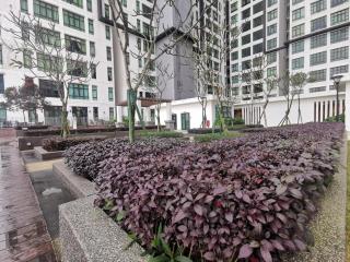 DSummit 3bedroom WiFi Netflix 5 Pax - Johor Bahru - 6