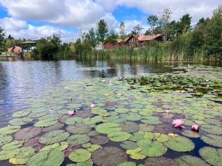 Geese Villa Log House - 0