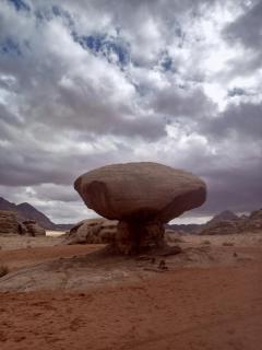 Friends beautiful desert - Wadi Rum - 5