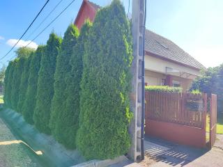 Szaffi apartman - Hajdúszoboszló - 5