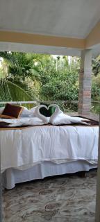 Dream inn family homestay - Meenangadi - 9
