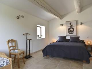 LE DOMAINE 5 étoiles Spa Saint Quenin Vaison 30 personnes MONT VENTOUX PROVENCE - Vaison-la-Romaine - 6