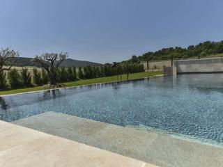 LE DOMAINE 5 étoiles Spa Saint Quenin Vaison 30 personnes MONT VENTOUX PROVENCE - Vaison-la-Romaine - 2