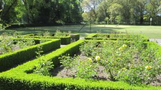 Rose Cottage at The Elms - Christchurch - 3