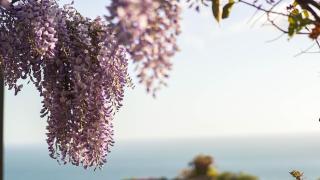 RESIDENCE SOLARIDE apartments, FREE PRIVATE PARKING WITH VIDEOSURVELLIANCE and SHUTTLE SERVICE - Salerno - 7