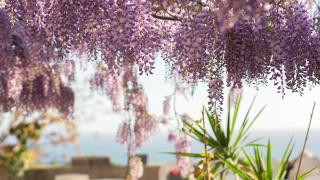 RESIDENCE SOLARIDE apartments, FREE PRIVATE PARKING WITH VIDEOSURVELLIANCE and SHUTTLE SERVICE - Salerno - 6