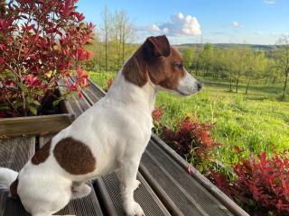 Maison écologique de qualité supérieure - 4