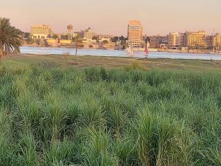 Nille and Garden View - Jazīrat al ‘Awwāmīyah - 8