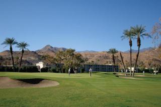 Palm Springs - Plaza Resort and Spa - Palm Springs - 8
