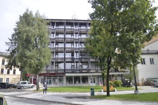 Grajski Dvor - Radovljica - 0