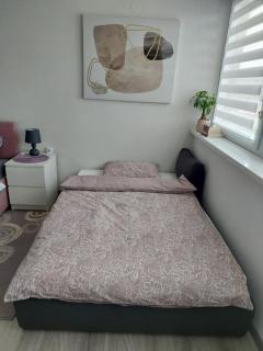 Studio apartman TARA - Daruvar - 5