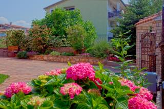 Apartments Daniela - 2