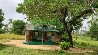 Piecefull bayview Cottage with Kitchen near Tofo - 5