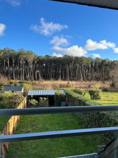Maison vue sur la nature proche golf & Carnac - Ploemel - 9