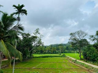 ORENDA ECO LODGE & SPA - Galle - 1