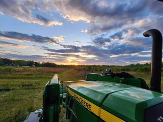 Phoenix Farms Vineyard - 3