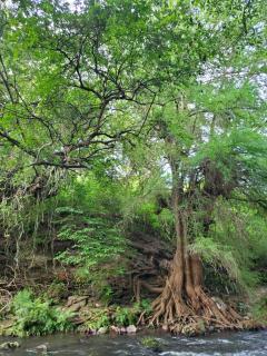 Glamping Cabaña de Granja El Sol Teques y Naturaleza - 3