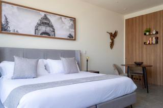 Mi Zona Lodging Reforma - 3