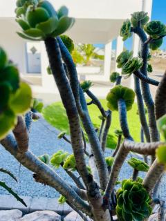 Little Haven - St Helena Bay - 2