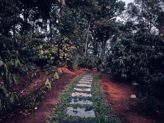 EMs Campsite - Jambur - 4