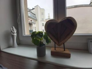 Modern 3 Bedroom Apartment Vienna - Wenen - 9