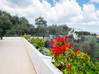 Villa Corfu Horizon - Káto Korakiána - 1