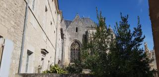La maison de Louise - Fontenay-le-Comte - 9