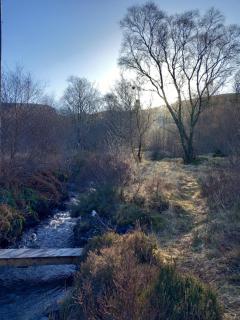 The Woodshed - Portree - 3