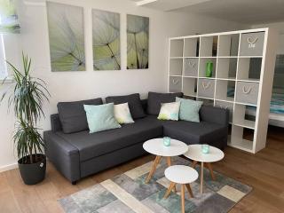 Wohnstudio für bis zu 1-4 Personen nahe Bodensee - Stockach - 8