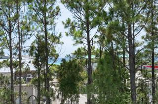 Hattie's Hideawy at Seacrest - Santa Rosa Beach - 4