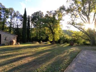 Il Bosco del Lebbio - Montaione - 6