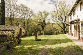 Il Bosco del Lebbio - Montaione - 3