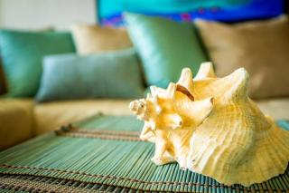 Enchanted Jewel 39 Beachfront Pool - Luquillo - 3